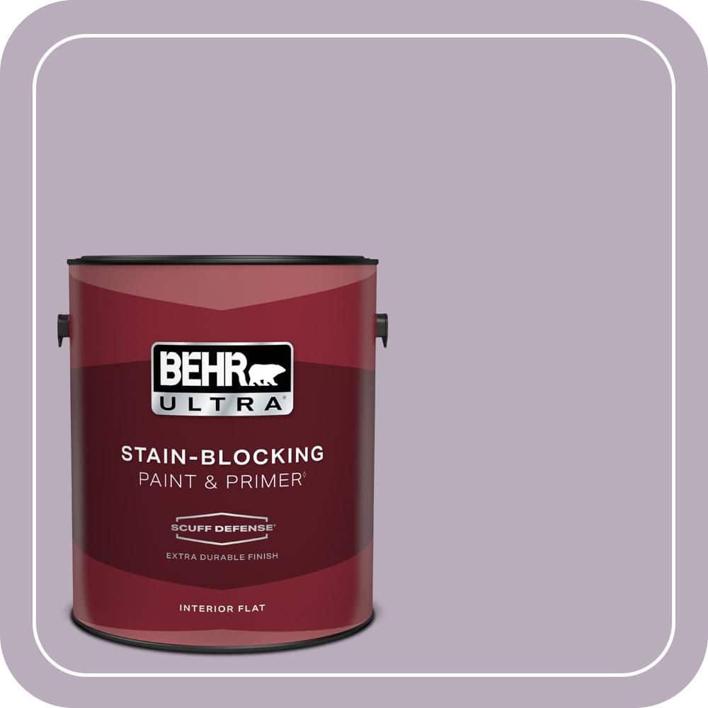 1 gal. Home Decorators Collection #HDC-SP14-12 Exclusive Violet Extra Durable Flat Interior Paint & Primer price history on PriceWatchPro