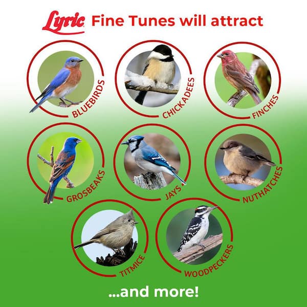 Lyric 5 lbs. Fine Tunes No Waste Bird Seed Mix 2647411 - The Home