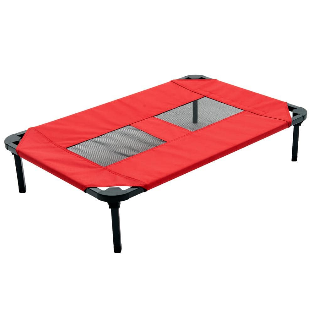 Elevated cot dog top bed