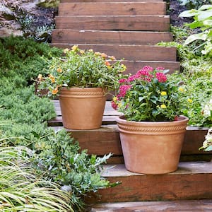Square Terracotta Planters 32cm Ideal for Garden & Patio in Pack of 2 Gardening 