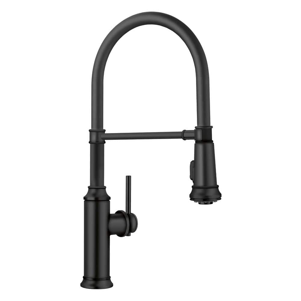 Empressa Single-Handle Gooseneck Pull-Down Sprayer Kitchen Faucet in Matte 