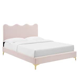 Current Performance Velvet Queen Platform Bed in Pink with Gold Legs