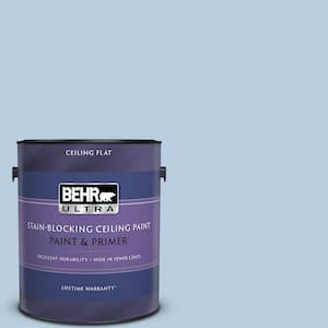 1 gal. #580C-3 Impressionist Sky Ceiling Flat Interior Paint and Primer