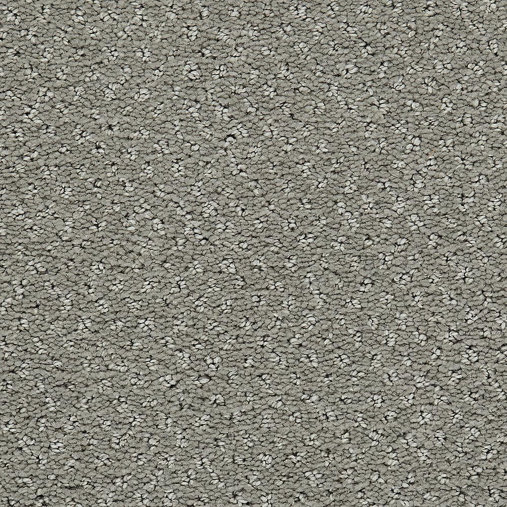 8 in. x 8 in. Pattern Carpet Sample - Pretty Penny -Color Stonework price history on PriceWatchPro
