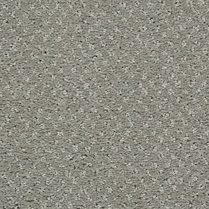8 in. x 8 in. Pattern Carpet Sample - Pretty Penny -Color Stonework