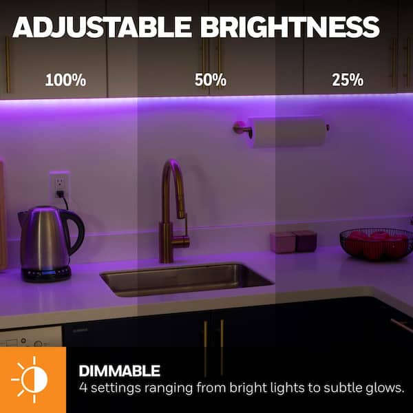 24V RGB W Hardwire LED Strip Light Kit – Armacost, 50% OFF