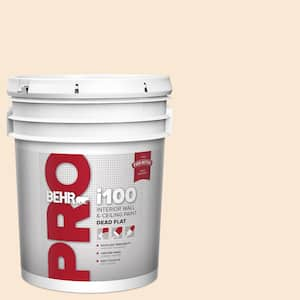 5 gal. #PPU4-09 Cafe Cream Dead Flat Interior Paint