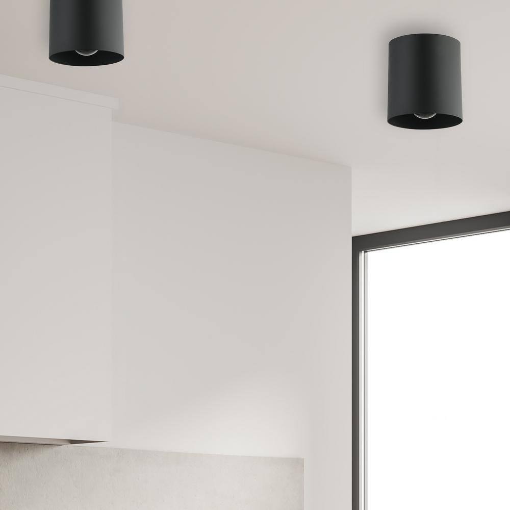 Matte Black Glass Globe Indoor/Outdoor Ceiling Light
