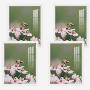 Modern 8 in. x 10 in. White Picture Frame (Set of 4)