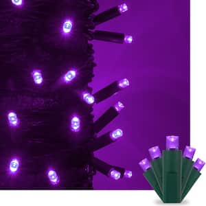17 ft. 50-Light Purple 5 mm LED Mini Light Set
