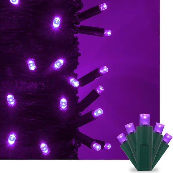 Kringle Traditions 17 ft. 50-Light Purple 5 mm LED Mini Light Set