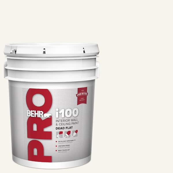 5 gal. #PWN-10 Decorator White Dead Flat Interior Paint