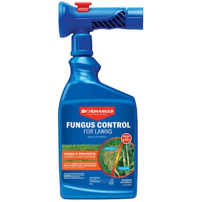 32 oz. Ready-to-Spray Fungus Control for Lawns Fungicide