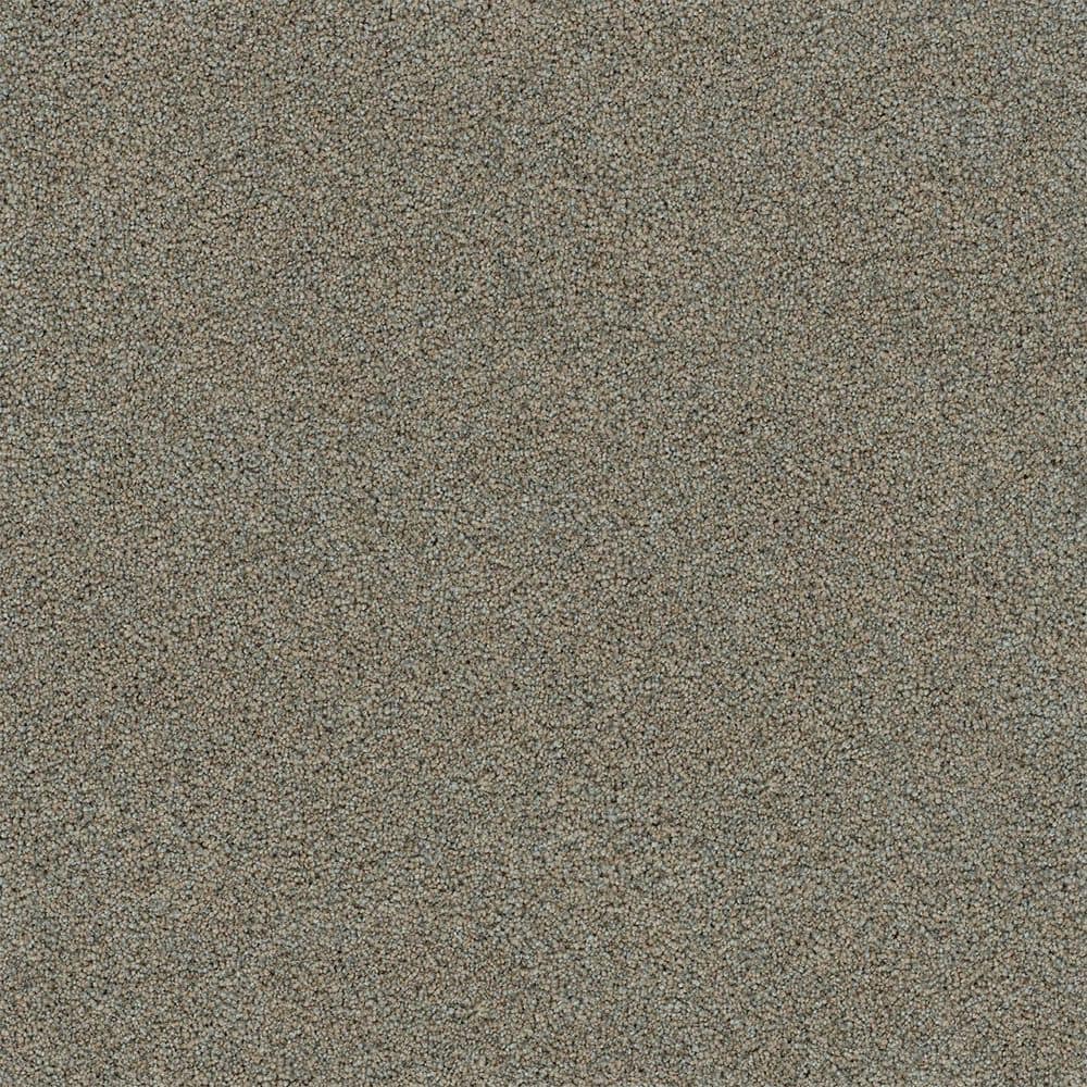 8 in. x 8 in. Texture Carpet Sample-Dewdrop III-Color Calming price history on PriceWatchPro