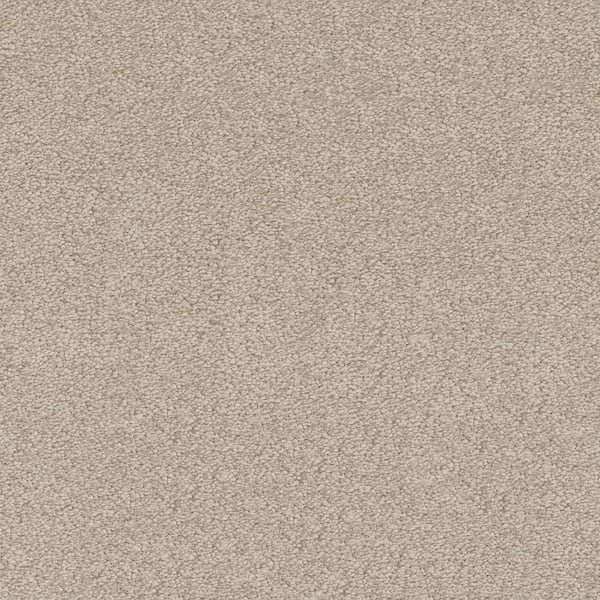 Home Decorators Collection Perfected I  - Fine Tuned - Beige 40 oz. SD Polyester Texture Installed Carpet