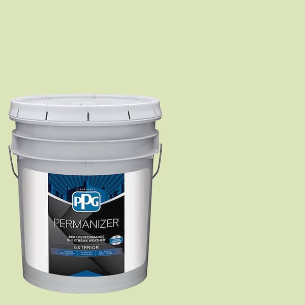 PERMANIZER 5 gal. PPG1222-3 Aloe Vera Semi-Gloss Exterior Paint