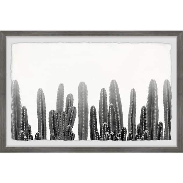 Straw Spine Cactus. Fine art print.