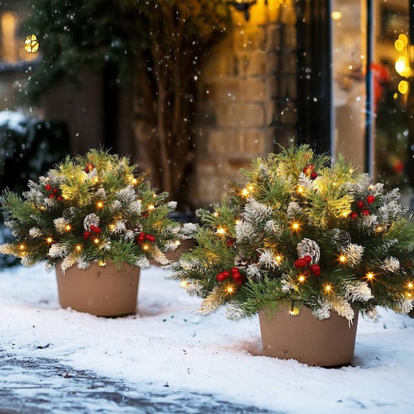 Christmas Tree Series 24 in Multi-Colored  Outdoor Artificial pine.