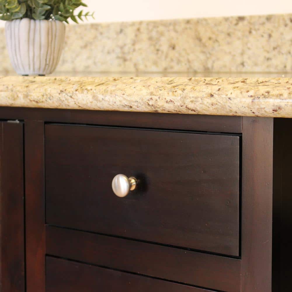 Brushed Nickel Round Traditional Cabinet Knob with Mounting Hardware