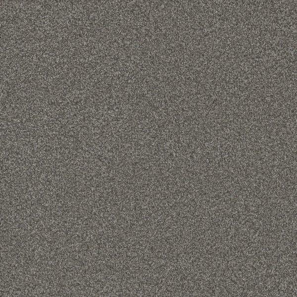 Home Decorators Collection Trendy Threads Plus I - Sahara - Gray 40 oz. SD Polyester Texture Installed Carpet