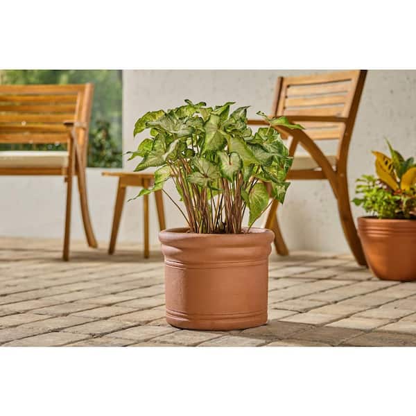 Vigoro Medium Brown Terracotta Planter with Drainage Hole (13 in. L x 13  in. W x 10 in. H) SDI3 - The Home Depot