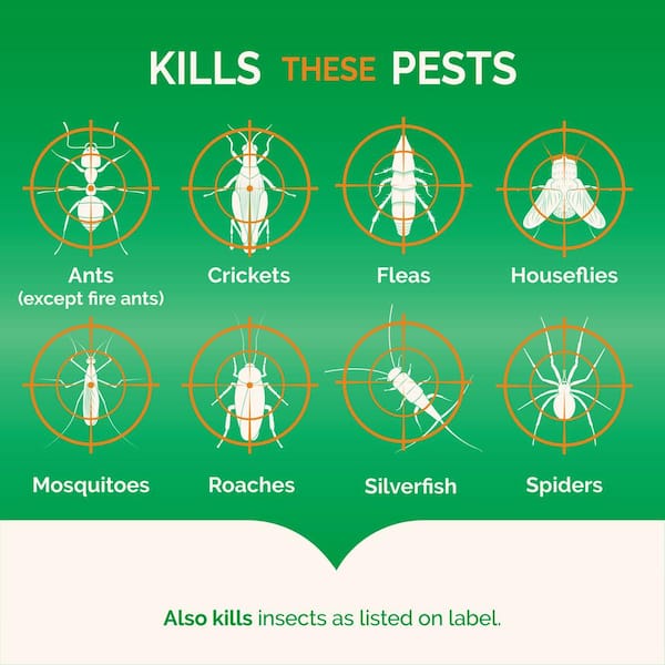 Home & Garden Weed & Pest Control Hot Shot NoMess Fogger Kill Bug