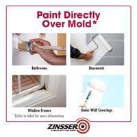 1 gal. Mold Killing Interior/Exterior Primer