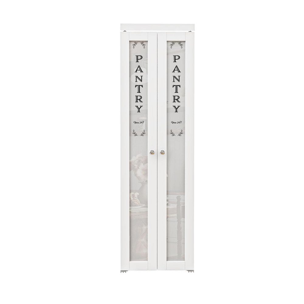 24" x 80" Frosted Glass White MDF Pivot Door