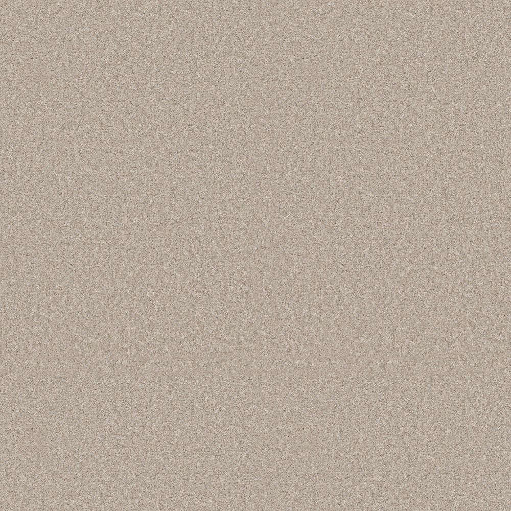 8 in. x 8 in. Texture Carpet Sample - Sunshine Cottage - Color Feather price history on PriceWatchPro