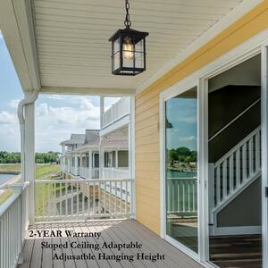 Modern Farmhouse Black Outdoor Hanging Lantern 1-Light Coastal Pendant with Seeded Glass Shade for Covered Patio Porch