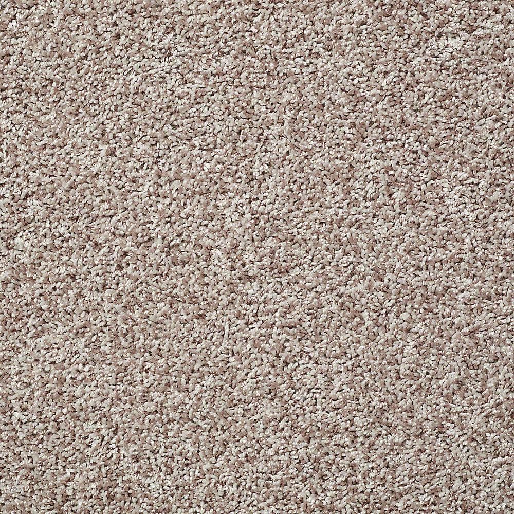 8 in. x 8 in. Twist Carpet Sample - Charming - Color Sawmill price history on PriceWatchPro