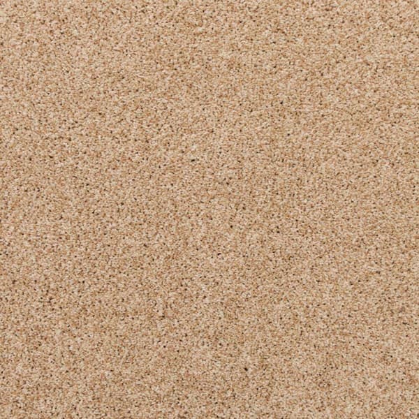 8 in. x 8 in. Texture Carpet Sample-Magalynn I-Color Coastal
