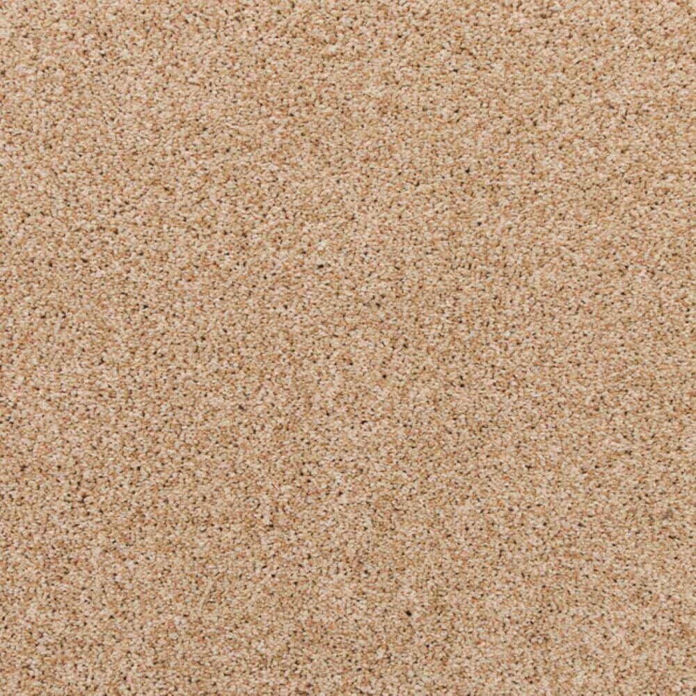 8 in. x 8 in. Texture Carpet Sample-Magalynn II-Color Coastal price history on PriceWatchPro