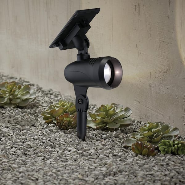 Solar 50 Lumens Black Outdoor Integrated LED Adjustable Beam Spotlight (2-Pack); Weather/Water/Rust Resistant