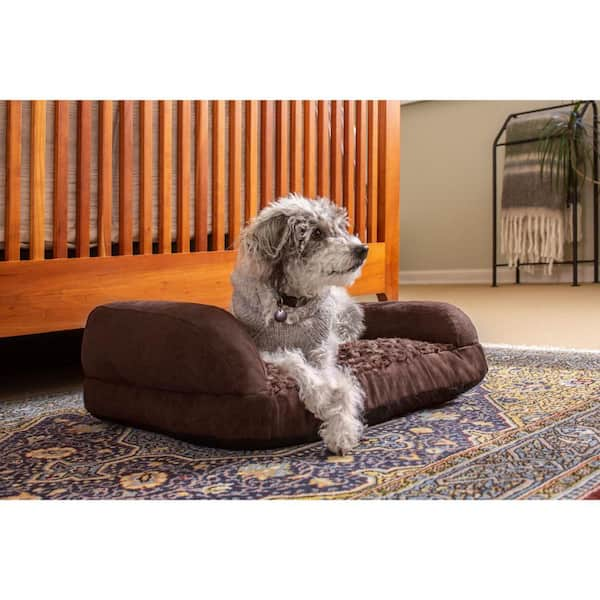 New Age Pet Buddy s Memory Foam Dog Cushion