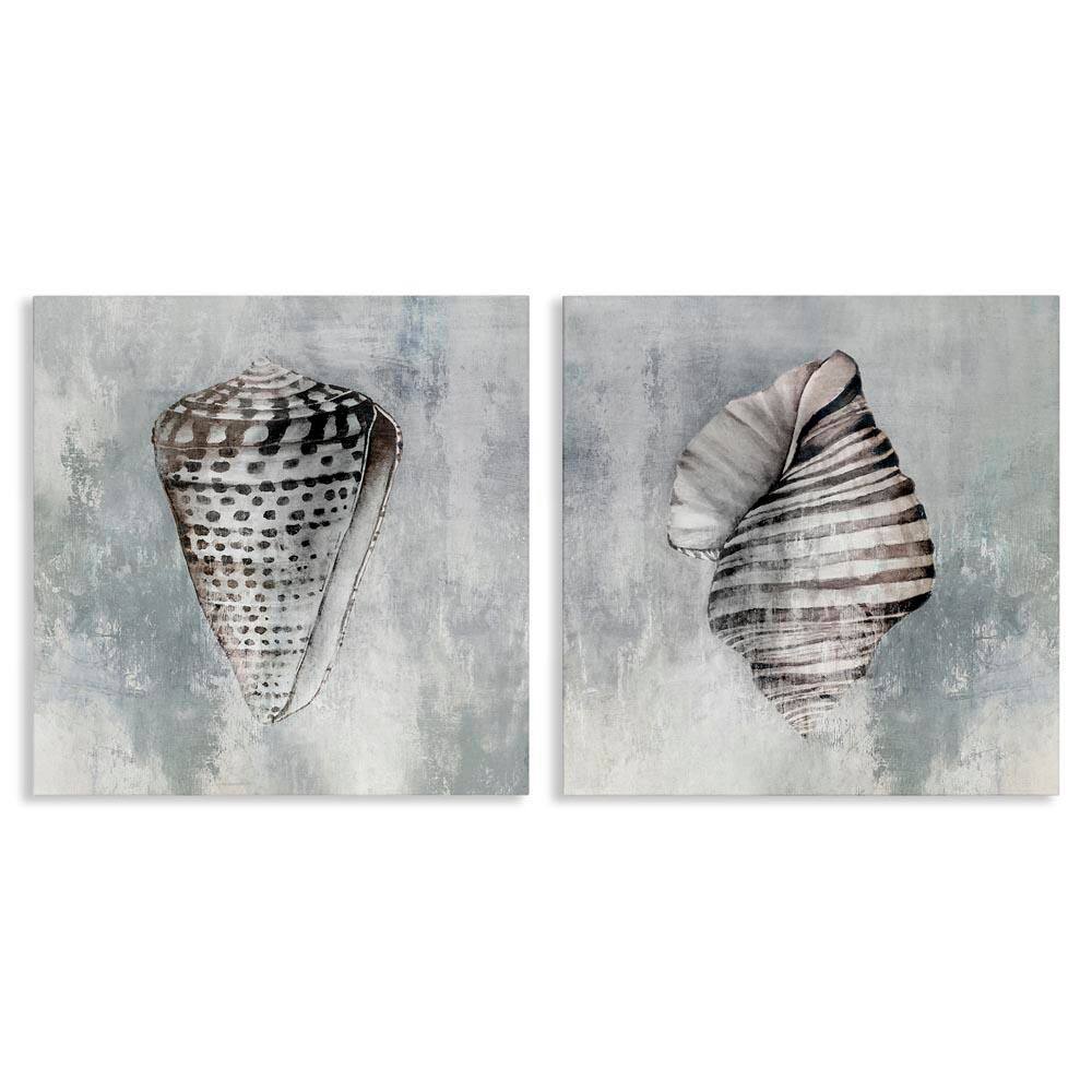 Grey Distressed Cowrie Shells by Eli Jones 2-Pieces Unframed Coastal Graphic Art Print 24 in. x 24 in. price history on PriceWatchPro