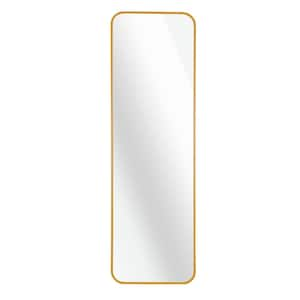 Gold 14 in. W x 47 in. H Metal Framed Rectangle Door Mirror, Wall Mirror for Bathroom, Entryway