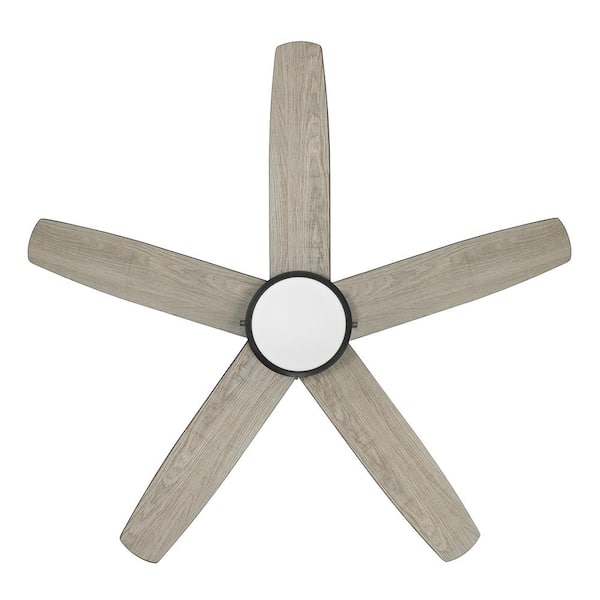 Riplee 44 in. Indoor Matte Black Hugger Ceiling Fan with White Color Changing LED Light Kit