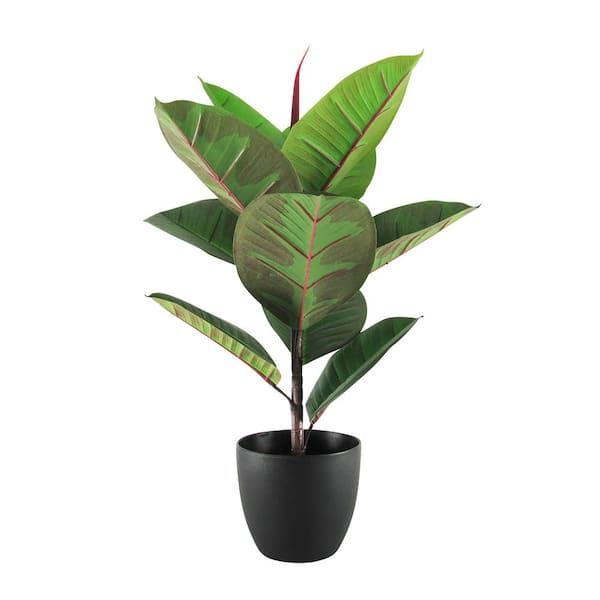 2 ft. Real Touch Artificial Rubber Plant Fig Tree in Pot