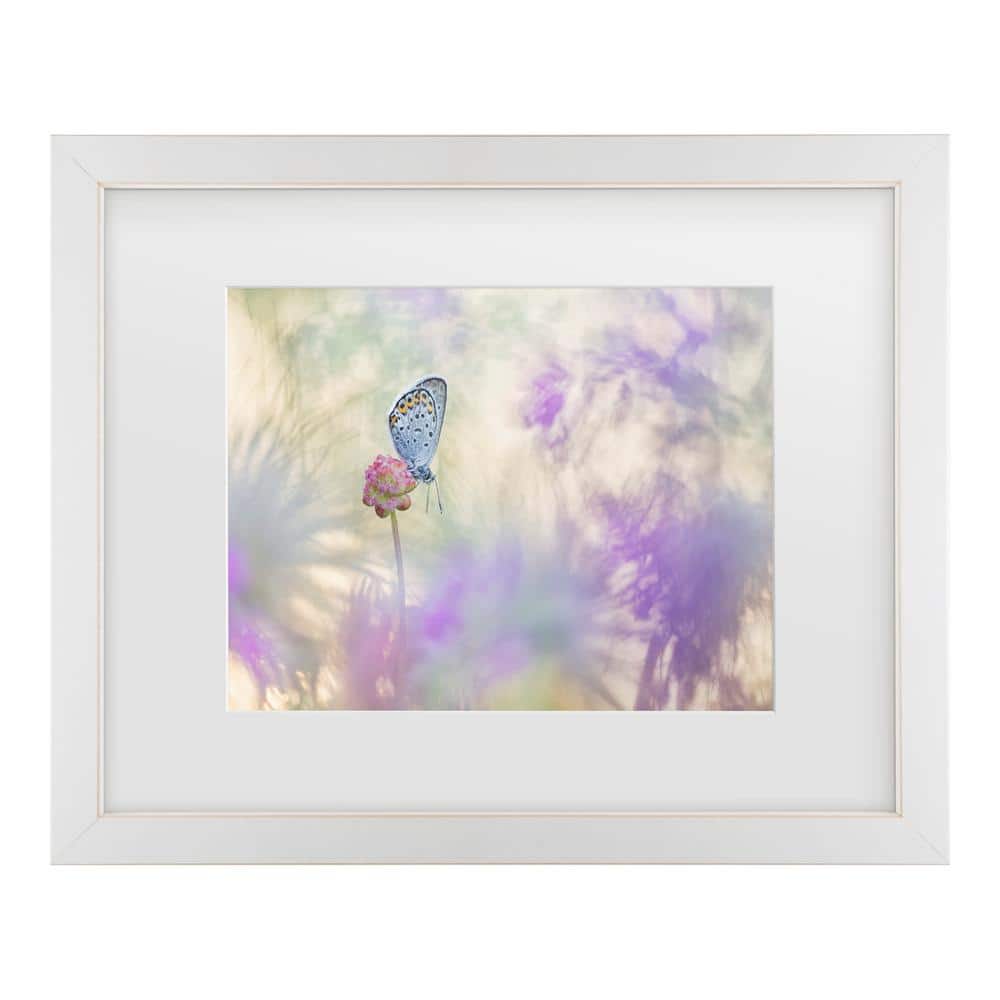 Henrik Spranz Butterfly on Pink Flower Framed Canvas Art