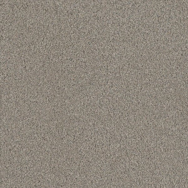Meringue I-Whisp Beige 46 oz. SD Polyester Texture Installed Carpet