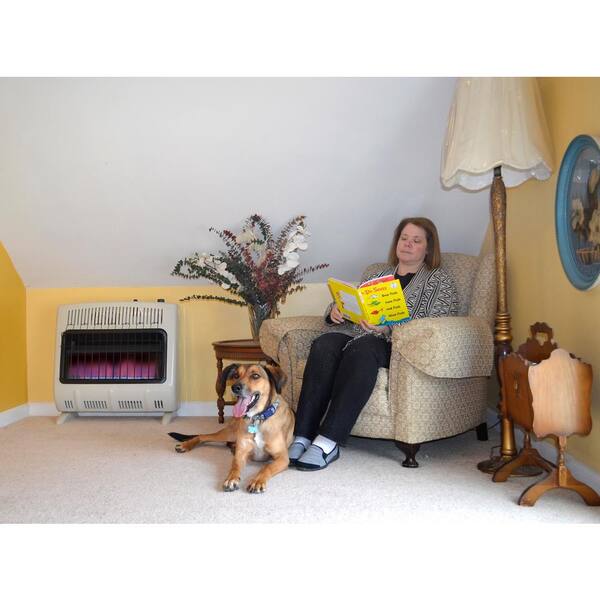 Mr. Heater 30,000 BTU Vent Free Blue Flame Propane Heater MH-F299730 - The  Home Depot