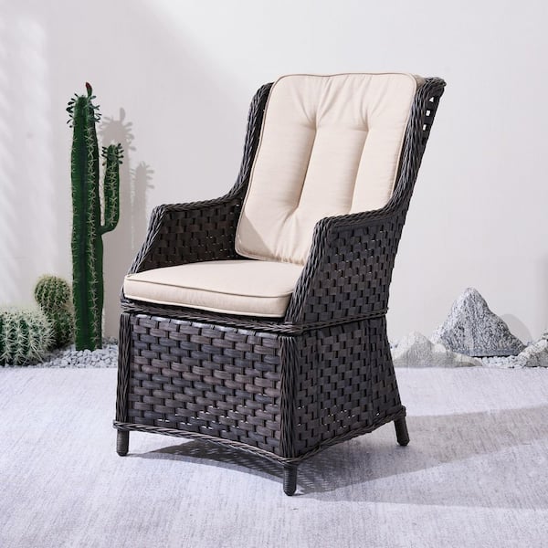 Ailbhe Brown Aluminum Wicker Outdoor Dining Chair With Beige Cushions (2-Pack)