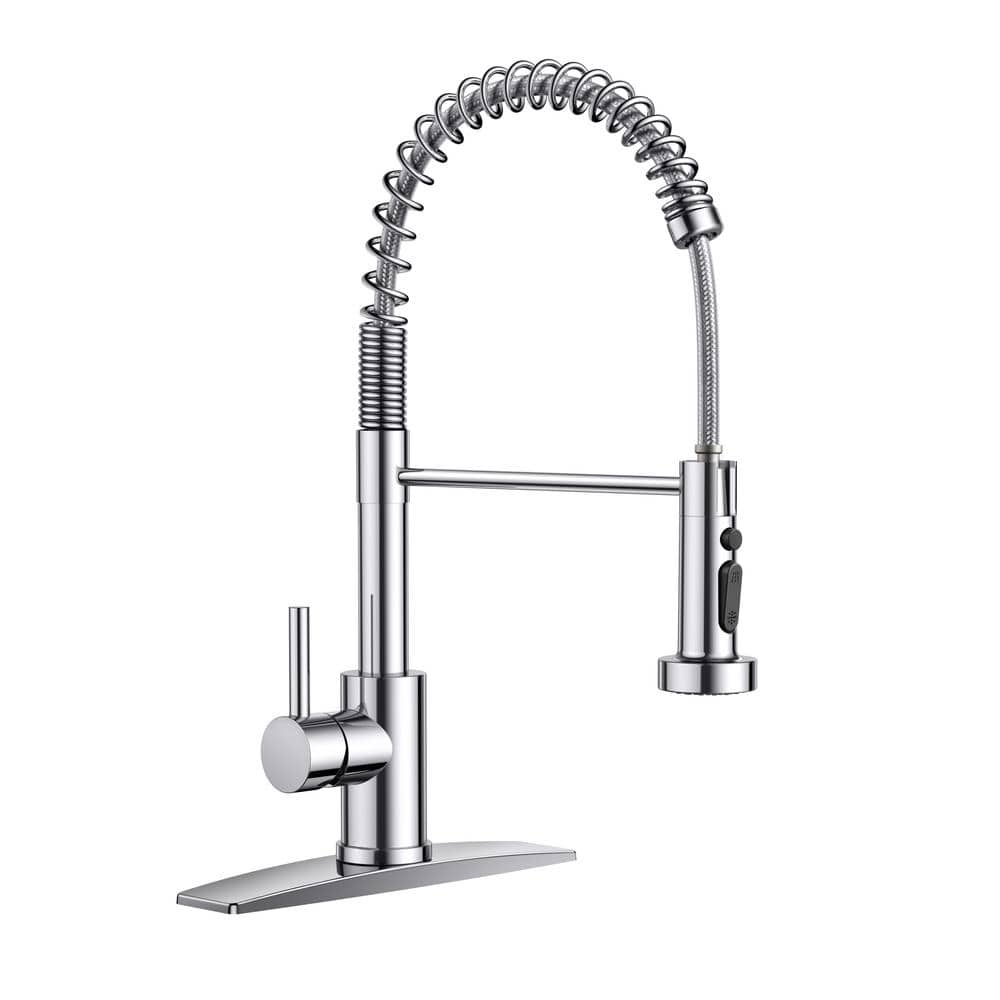 ANZA Single-Handle Pull Down Sprayer Kitchen Faucet with Deckplate in ...