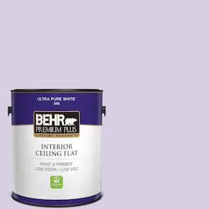 1 gal. #M560-2 Fanciful Ceiling Flat Interior Paint