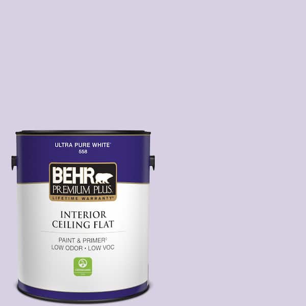 1 gal. #M560-2 Fanciful Ceiling Flat Interior Paint