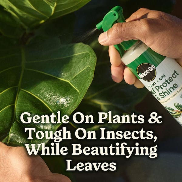 Miracle-Gro Plant Care Leaf Protect and Shine 8 fl. oz