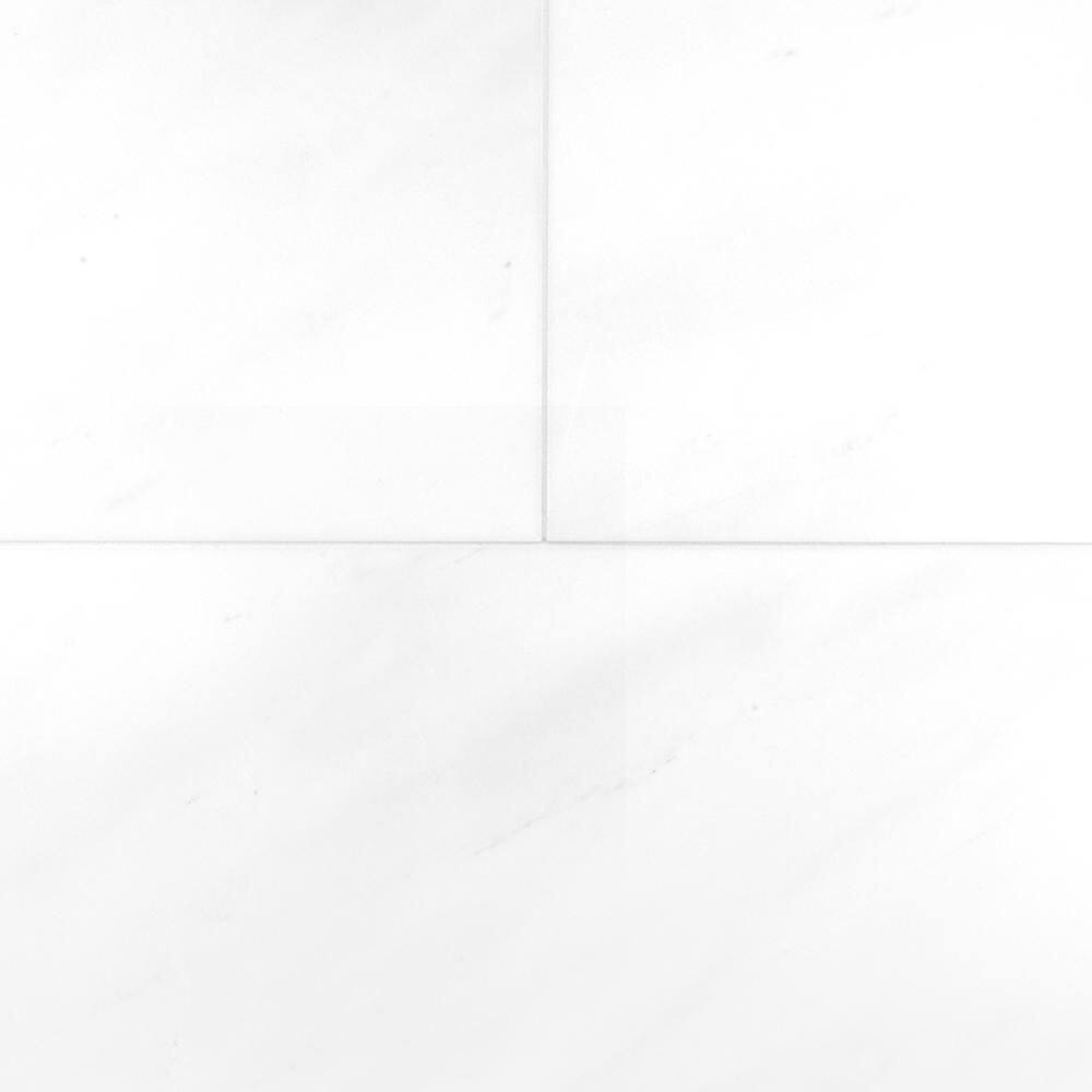Dolomite White 12 in. x 24 in. Honed Stone Look Marble Wall and Floor Tile (10 sq. ft./Case) price history on PriceWatchPro