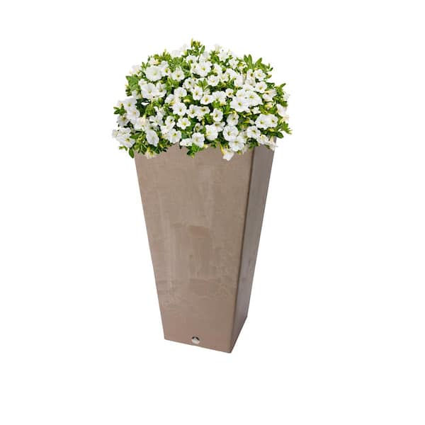 Valencia 16 in. Square Taupe Polystone Planter