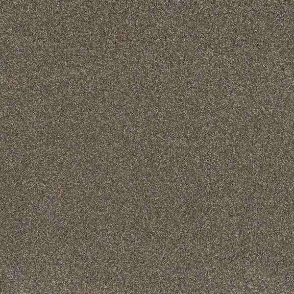 Lifeproof Hazelton I - Keeper - Brown 40 oz. Polyester Texture Carpet - Installation Required